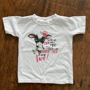 Two year old girl birthday shirt